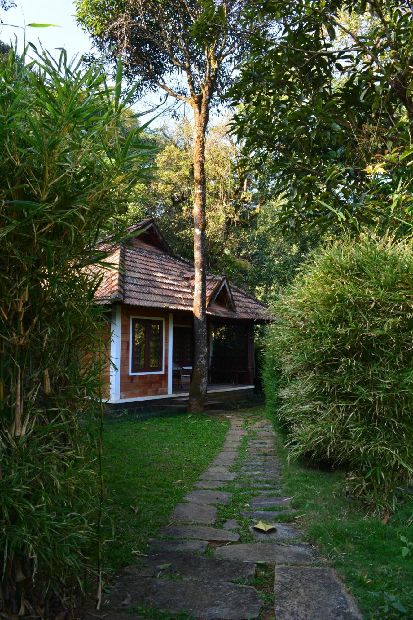 Misty Woods Resort Kakkabe Habitación foto